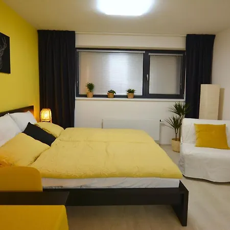 Black & Yellow Selska *